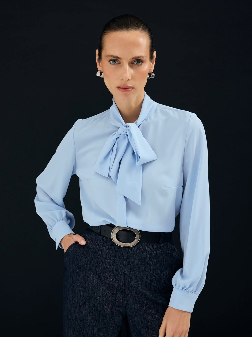 Elegant Bow Tie Blouse