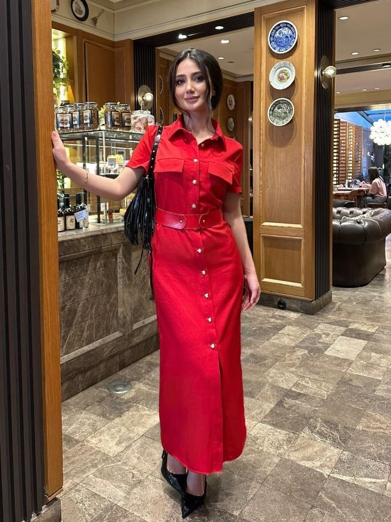 Red Zara Dress