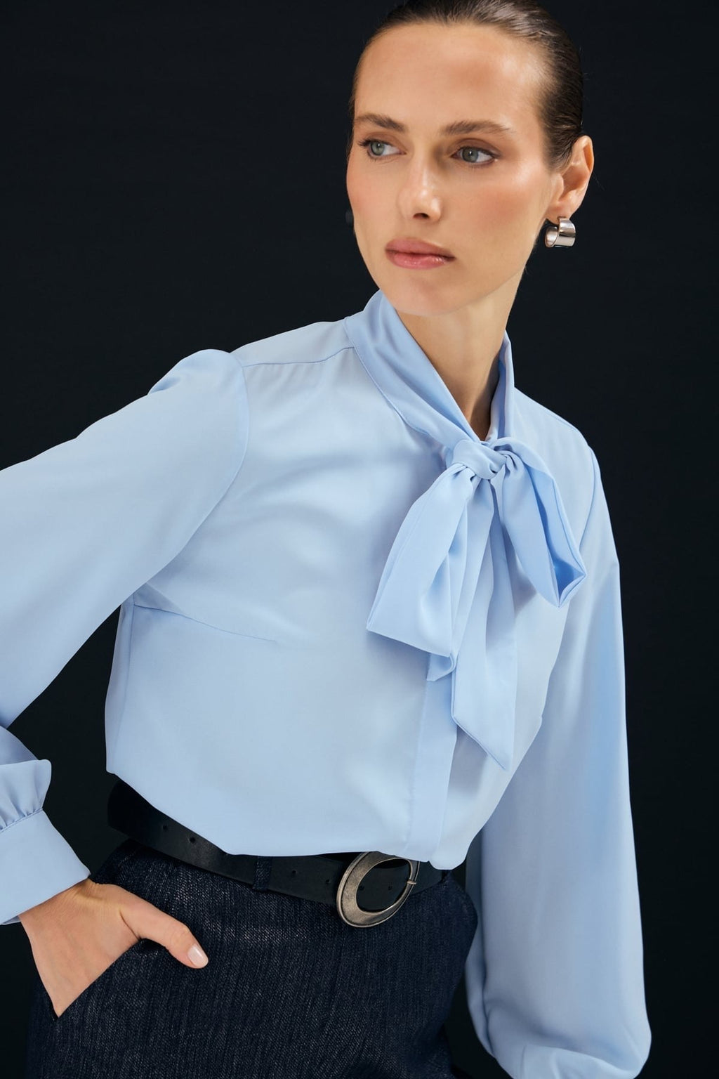 Elegant Bow Tie Blouse