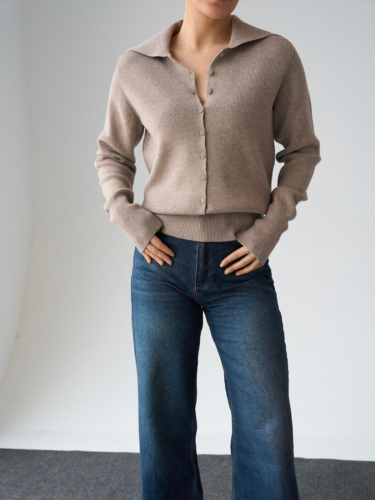 Beige Collar Knit Blouse