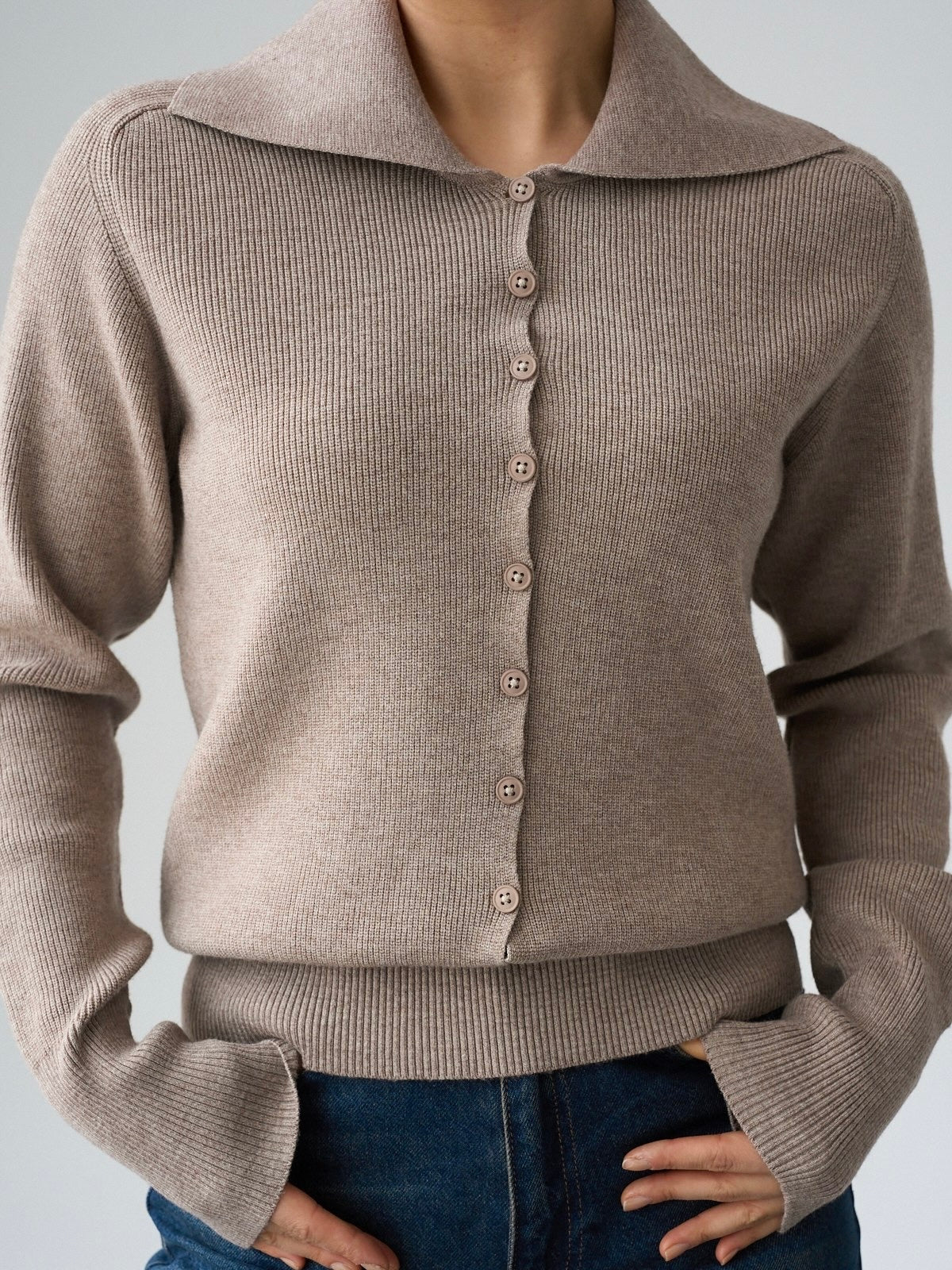 Beige Collar Knit Blouse