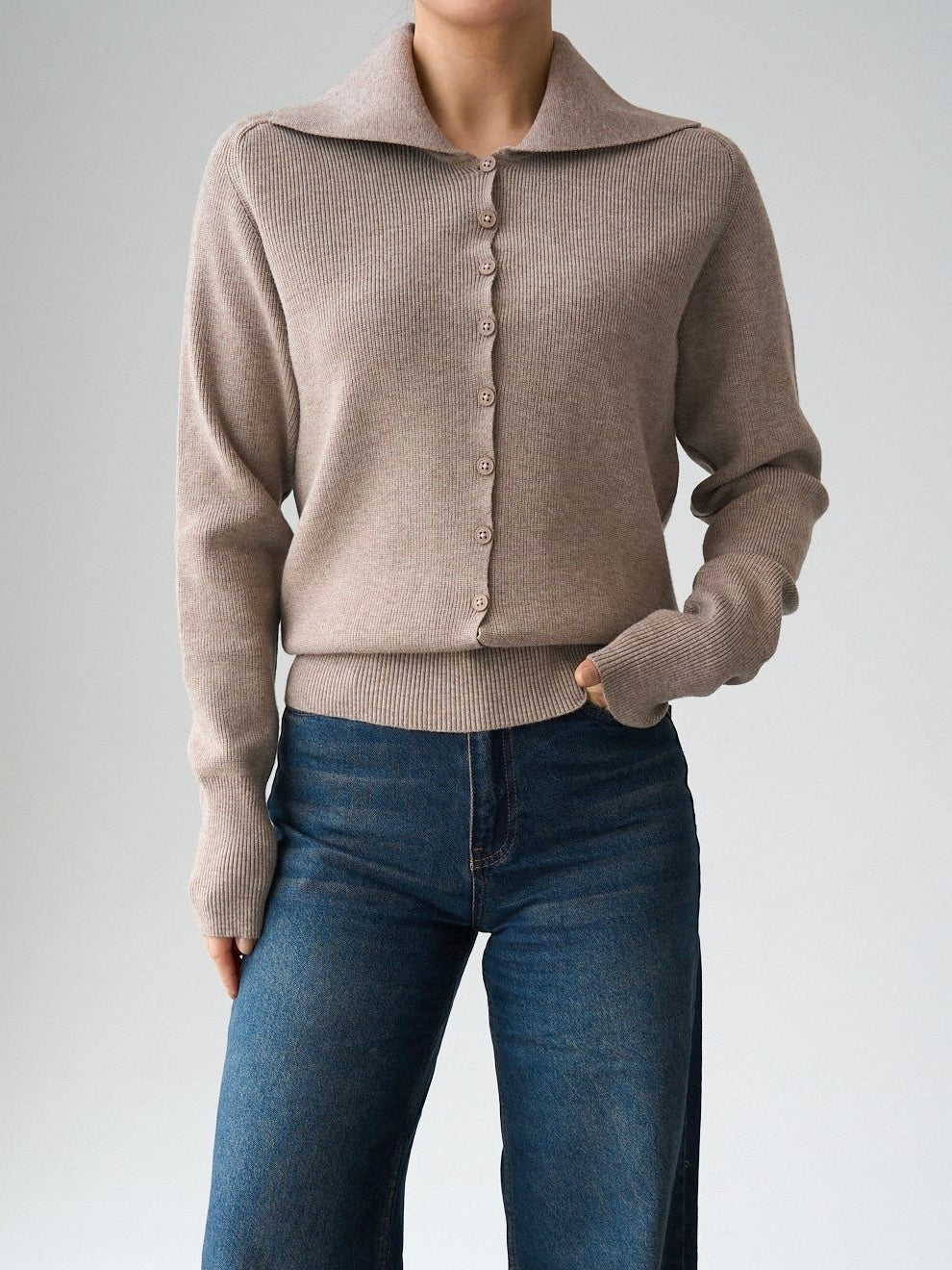 Beige Collar Knit Blouse