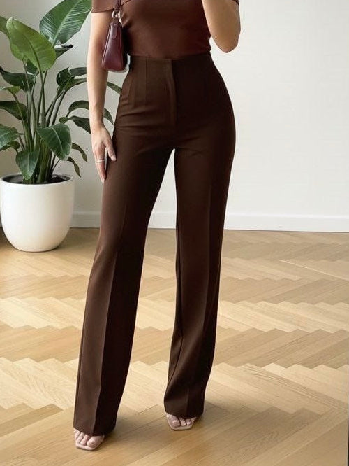Brown Zara Pants