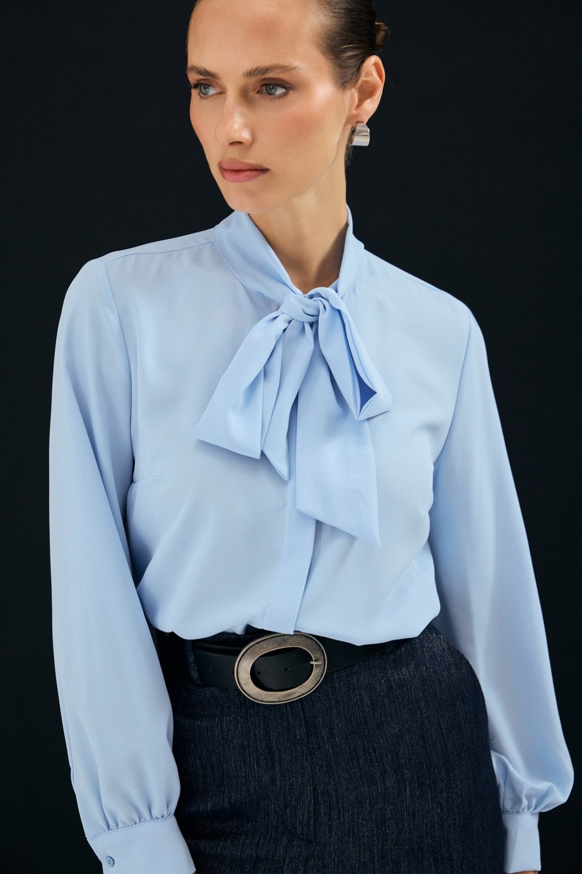 Elegant Bow Tie Blouse