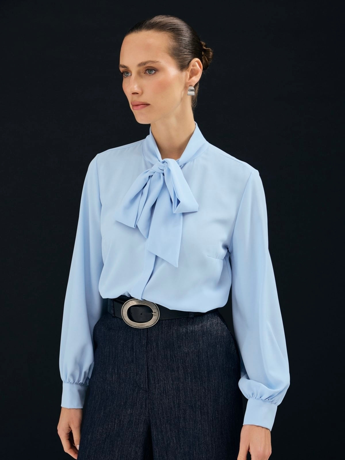Elegant Bow Tie Blouse