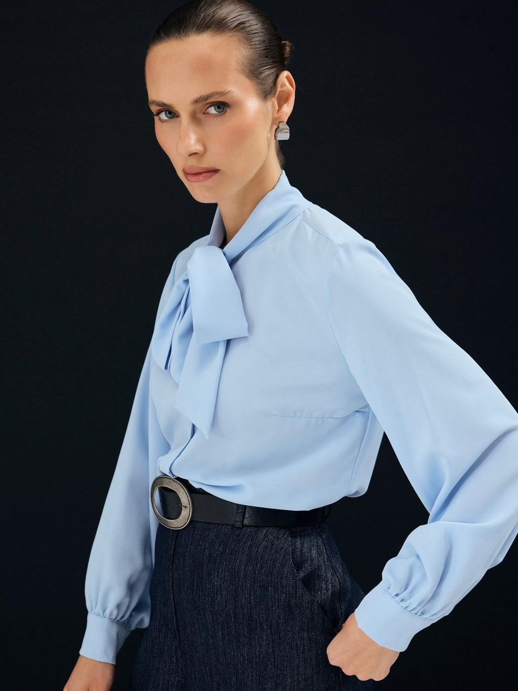 Elegant Bow Tie Blouse